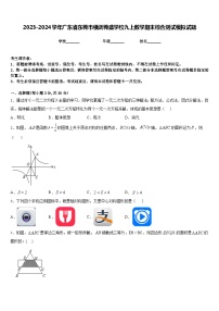 2023-2024学年广东省东莞市横沥莞盛学校九上数学期末综合测试模拟试题含答案