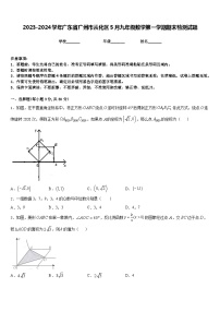 2023-2024学年广东省广州市从化区5月九年级数学第一学期期末检测试题含答案