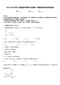 2023-2024学年广东省执信中学数学九年级第一学期期末教学质量检测试题含答案