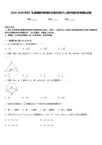 2023-2024学年广东省揭阳市榕城区空港经济区九上数学期末统考模拟试题含答案