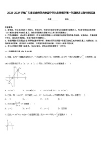 2023-2024学年广东省华南师范大附属中学九年级数学第一学期期末达标检测试题含答案