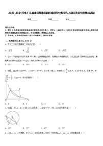 2023-2024学年广东省市深圳市龙岗区南湾学校数学九上期末质量检测模拟试题含答案