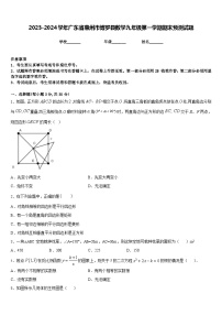 2023-2024学年广东省惠州市博罗县数学九年级第一学期期末预测试题含答案