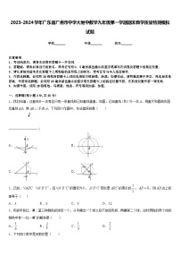 2023-2024学年广东省广州市中学大附中数学九年级第一学期期末教学质量检测模拟试题含答案