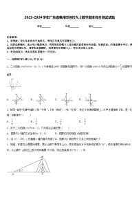 2023-2024学年广东省惠州市名校九上数学期末综合测试试题含答案