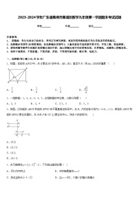 2023-2024学年广东省惠州市惠城区数学九年级第一学期期末考试试题含答案