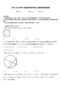 2023-2024学年广东省河源市和平县九上数学期末调研试题含答案