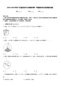 2023-2024学年广东省茂名市九年级数学第一学期期末综合测试模拟试题含答案