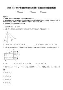 2023-2024学年广东省韶关市数学九年级第一学期期末质量跟踪监视试题含答案