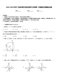 2023-2024学年广东省深圳市宝安区数学九年级第一学期期末经典模拟试题含答案