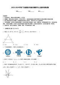 2023-2024学年广东省肇庆市德庆县数学九上期末经典试题含答案