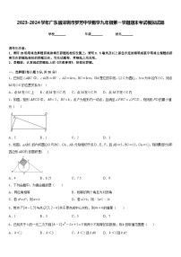 2023-2024学年广东省深圳市罗芳中学数学九年级第一学期期末考试模拟试题含答案