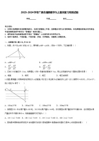 2023-2024学年广西合浦县数学九上期末复习检测试题含答案