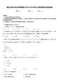 黑龙江省齐齐哈尔市昂昂溪区2023-2024学年九上数学期末综合测试试题含答案