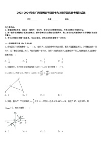 2023-2024学年广西贺州昭平县联考九上数学期末联考模拟试题含答案