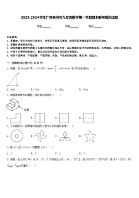 2023-2024学年广西来宾市九年级数学第一学期期末联考模拟试题含答案