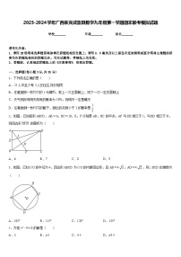 2023-2024学年广西来宾武宣县数学九年级第一学期期末联考模拟试题含答案