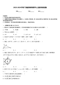 2023-2024学年广西省贺州市数学九上期末预测试题含答案