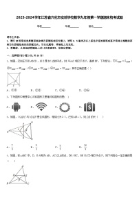 2023-2024学年江苏省兴化市实验学校数学九年级第一学期期末统考试题含答案