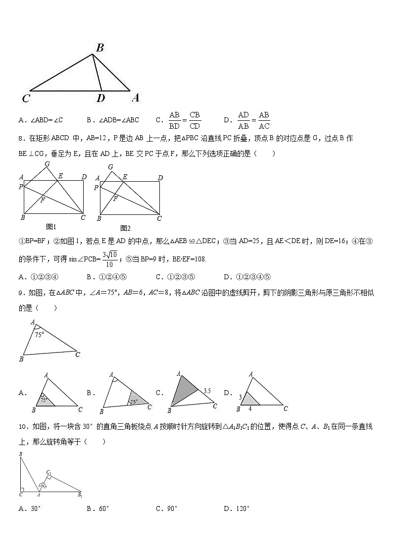 2023-2024学年汕头市金平区数学九年级第一学期期末质量跟踪监视模拟试题含答案第2页