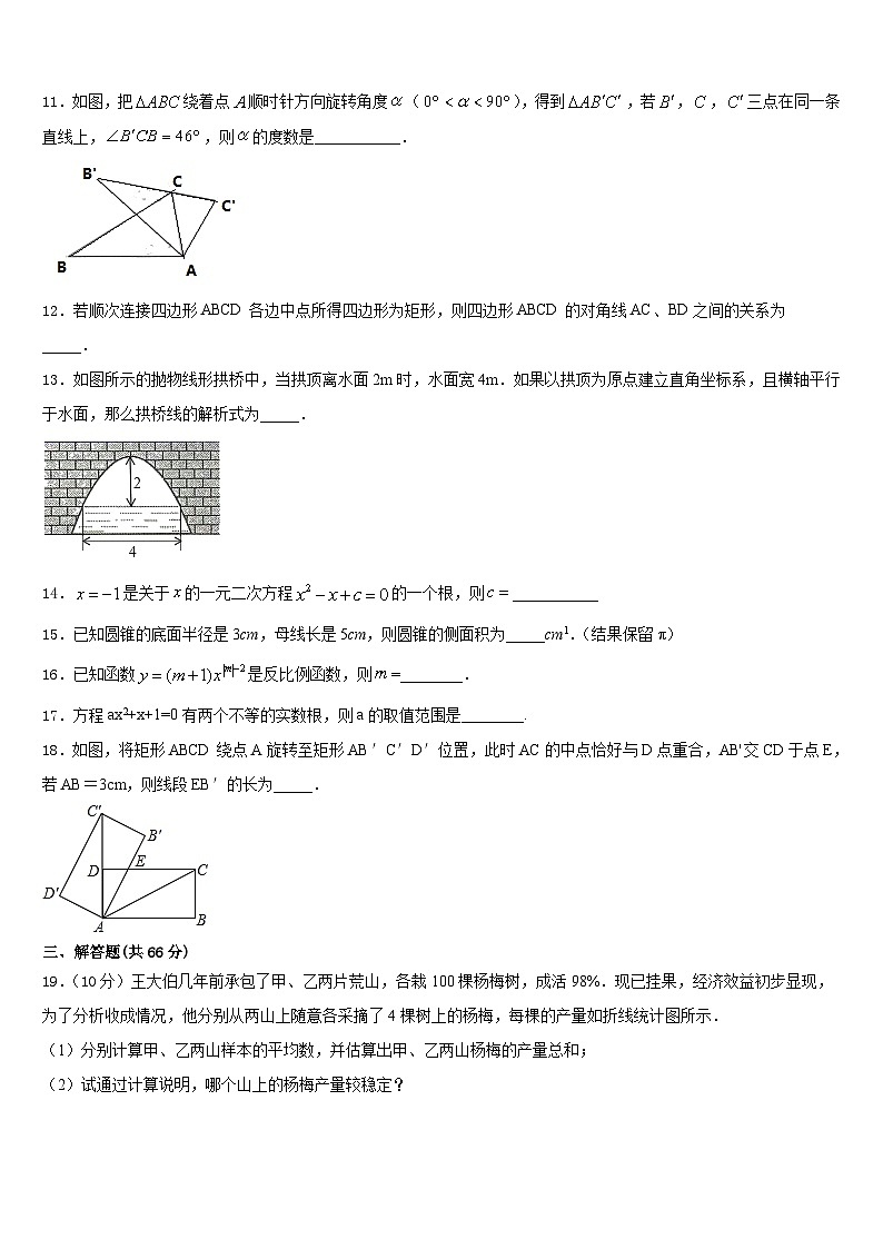 2023-2024学年江苏省兴化市广元实验学校数学九上期末达标检测试题含答案03