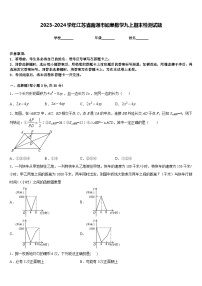 2023-2024学年江苏省南通市如皋数学九上期末检测试题含答案