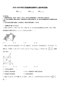 2023-2024学年江苏省如皋实验数学九上期末考试试题含答案