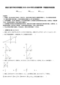 黑龙江省齐齐哈尔市昂溪区2023-2024学年九年级数学第一学期期末预测试题含答案