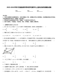 2023-2024学年江苏省扬州市枣林湾学校数学九上期末达标检测模拟试题含答案