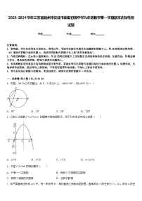 2023-2024学年江苏省扬州市仪征市新集初级中学九年级数学第一学期期末达标检测试题含答案