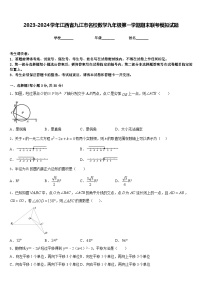 2023-2024学年江西省九江市名校数学九年级第一学期期末联考模拟试题含答案