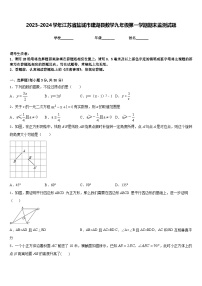 2023-2024学年江苏省盐城市建湖县数学九年级第一学期期末监测试题含答案