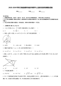 2023-2024学年江西省宜春市高安市数学九上期末质量检测模拟试题含答案