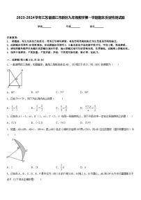 2023-2024学年江苏省镇江市新区九年级数学第一学期期末质量检测试题含答案