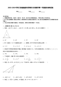 2023-2024学年江西省南昌市进贤县九年级数学第一学期期末调研试题含答案