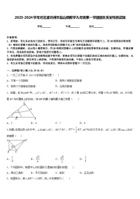 2023-2024学年河北省沧州市盐山县数学九年级第一学期期末质量检测试题含答案