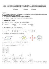 2023-2024学年河北省秦皇岛市抚宁区台营区数学九上期末质量跟踪监视模拟试题含答案