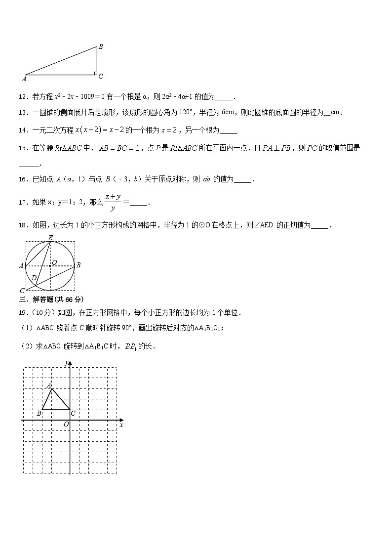2023-2024学年河北省秦皇岛抚宁区台营区数学九上期末教学质量检测模拟试题含答案03
