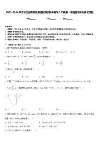 2023-2024学年河北省秦皇岛海港区四校联考数学九年级第一学期期末达标测试试题含答案