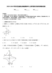 2023-2024学年河北省唐山滦南县联考九上数学期末质量检测模拟试题含答案