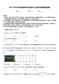 2023-2024学年河北省廊坊市名校数学九上期末质量跟踪监视试题含答案