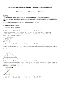 2023-2024学年河北省石家庄第四十二中学数学九上期末检测模拟试题含答案