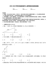 2023-2024学年河北省辛集市九上数学期末达标测试试题含答案