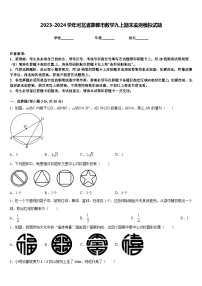 2023-2024学年河北省邯郸市数学九上期末监测模拟试题含答案