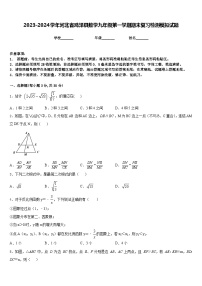 2023-2024学年河北省鸡泽县数学九年级第一学期期末复习检测模拟试题含答案