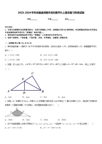 2023-2024学年河南省洛阳市名校数学九上期末复习检测试题含答案