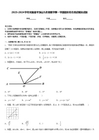 2023-2024学年河南省平顶山九年级数学第一学期期末综合测试模拟试题含答案