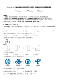 2023-2024学年河南省沈丘县数学九年级第一学期期末综合测试模拟试题含答案