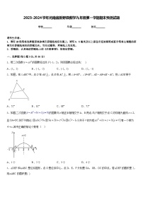 2023-2024学年河南省新野县数学九年级第一学期期末预测试题含答案