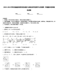 2023-2024学年河南省郑州市郑东新区九制实验学校数学九年级第一学期期末统考模拟试题含答案